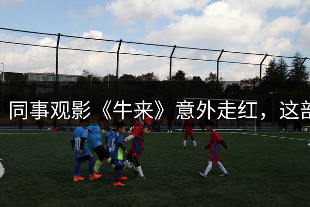 同事观影《牛来》意外走红，这部"神片"究竟有何魔力？