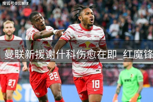 曼联新援谢什科伤愈在即 红魔锋线补强计划曝光