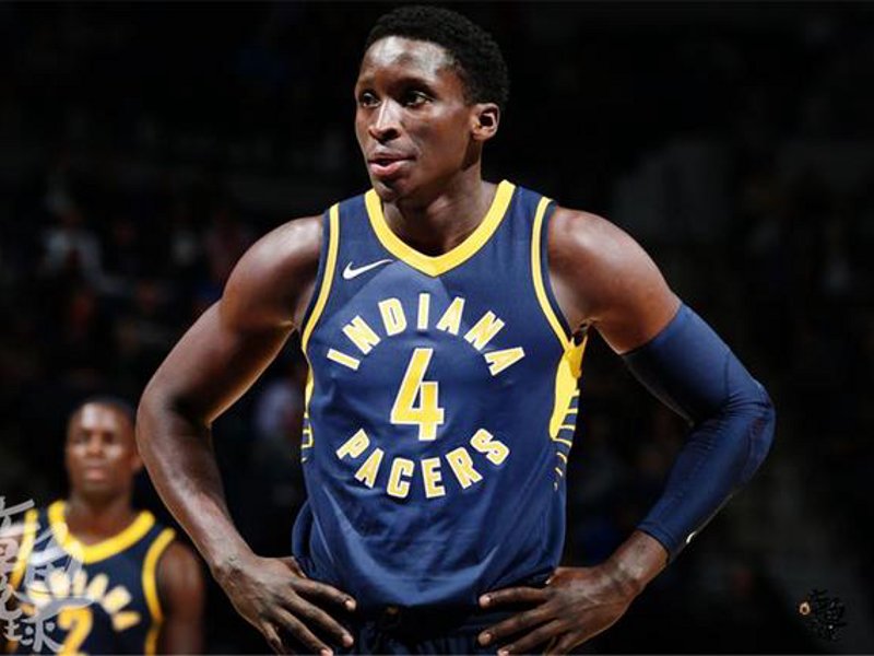 网站概况
